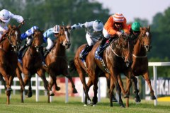 Lesson In Humility PML 0092884.JPG