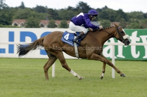 Redstone Dancer PML 0042788.jpg