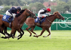 Sense Of Purpose PML 00162425