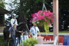 Kate Greenaway PML 00162319