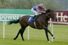 Await The Dawn-PML 00132448