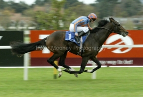 Alessandro Volta PML 0055044.JPG