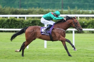 Zahrann 050625PML0487.jpg