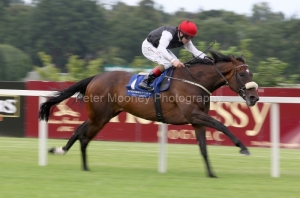 Profound Beauty-PML 00130307.JPG