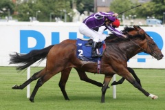 Alexander Pope-PML 00130165.JPG