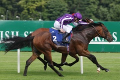 Alexander Pope-PML 00130168.JPG