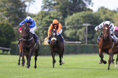 Finicius-PML 00130197.JPG