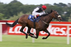 Profound Beauty-PML 00130309.JPG