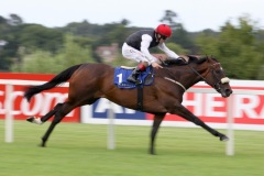 Profound Beauty-PML 00130311.JPG