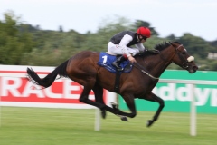 Profound-Beauty-PML-00130313