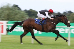 Profound-Beauty-PML-00130314