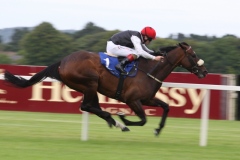 Profound-Beauty-PML-00130317