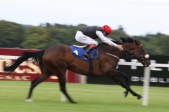 Profound Beauty-PML 00.JPG