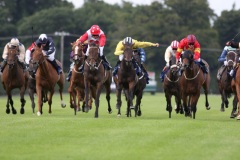 Simla Sunset-PML 00130246.JPG