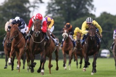 Simla Sunset-PML 00130262.JPG