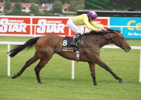 Sea The Stars PML 0099580.JPG