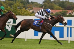 Chabal PML 0099634.JPG