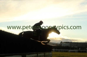 schooling-050317pml0853