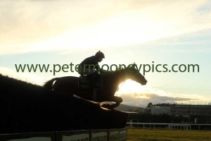 schooling-050317pml0853 schooling-050317pml0853