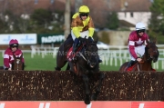 Galopin Des Champs 060222PML0705A.jpg
