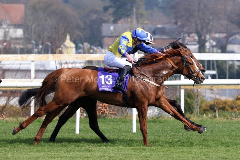 6 April 2019;  ANNIE FIOR, Adam Farragher up, nearside, winning The Leopardstown Members Handicap at Leopardstown.      © Peter Mooney, 59 Upper George's Street, Dun Laoghaire, Co. Dublin, Ireland.    Tel:  00 353 (0)86 2589298