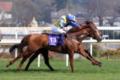 6 April 2019;  ANNIE FIOR, Adam Farragher up, nearside, winning The Leopardstown Members Handicap at Leopardstown.      © Peter Mooney, 59 Upper George's Street, Dun Laoghaire, Co. Dublin, Ireland.    Tel:  00 353 (0)86 2589298