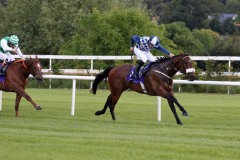 6 June 2019;   BECKWITH PLACE and Ronan Whelan stride to success in The 'Ham Sandwich' Handicap at Leopardstown.      © Peter Mooney, 59 Upper George's Street, Dun Laoghaire, Co. Dublin, Ireland.    Tel:  00 353 (0)86 2589298