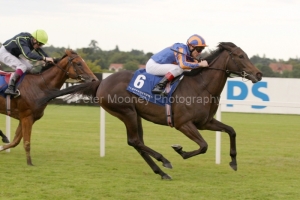 Lillie Langtry PML 0097897.JPG