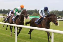 Cilium PML 0097855.JPG