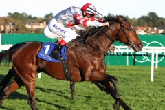 Call To Battle-PML 00168930