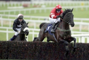 Missed That PMOO334434.jpg