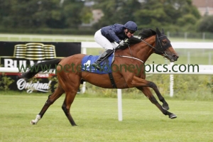 fields-of-athenry-060815pml775