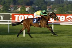 Carlesimo PMOO342124.jpg