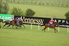 Akasaka PML 00158111