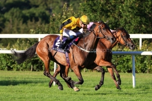 Rosscarbery 070722PML0778.jpg