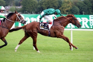 New Approach PML 0075422.JPG