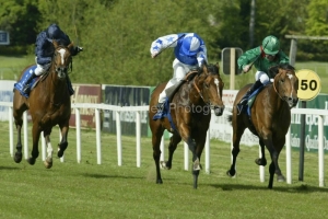 Fracas PM00320140.jpg