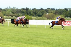 Admiral Of The Red PML 00153921