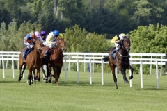 Ballybacka Lady PML 00154069