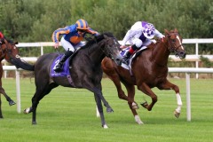 8 August 2019;   CORMORANT, Seamie Heffernan up, nearside, just overcomes Agitare, Kevin Manning up, to claim The Irish Stallion Farms European Breeders Fund Maiden at Leopardstown.      © Peter Mooney, 59 Upper George's Street, Dun Laoghaire, Co. Dublin, Ireland.    Tel:  00 353 (0)86 2589298