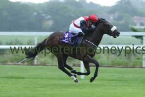 grandee-080617pml0570