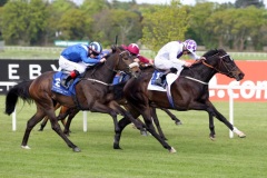 Bethrah PML 00118166.JPG