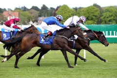 Bethrah PML 00118175.JPG