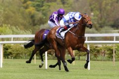 Eaglefield-090521PML0585