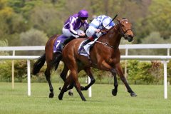 Eaglefield-090521PML0586
