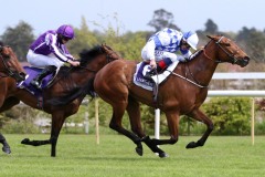 9 May 2021;  Eaglefield and Kevin Manning winning The John R Fitzpatrick Agricultural Contractor Maiden at Leopardstown.© Peter Mooney, 59 Upper George's Street, Dun Laoghaire, Co. Dublin, A96 H2R3, Ireland  Tel: 00 353 (0)86 2589298