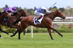 9 May 2021;  Eaglefield and Kevin Manning winning The John R Fitzpatrick Agricultural Contractor Maiden at Leopardstown.© Peter Mooney, 59 Upper George's Street, Dun Laoghaire, Co. Dublin, A96 H2R3, Ireland  Tel: 00 353 (0)86 2589298