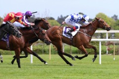 9 May 2021;  Eaglefield and Kevin Manning winning The John R Fitzpatrick Agricultural Contractor Maiden at Leopardstown.© Peter Mooney, 59 Upper George's Street, Dun Laoghaire, Co. Dublin, A96 H2R3, Ireland  Tel: 00 353 (0)86 2589298