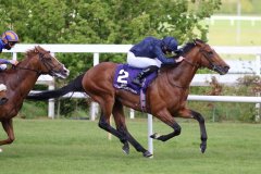 Sir-William-Bruce-090521PML0798