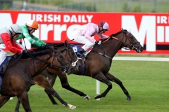 Radharcnafarraige PML 00155722